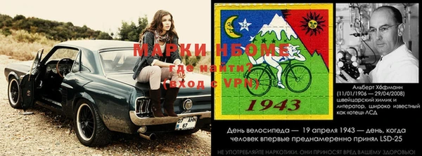 стафф Коряжма