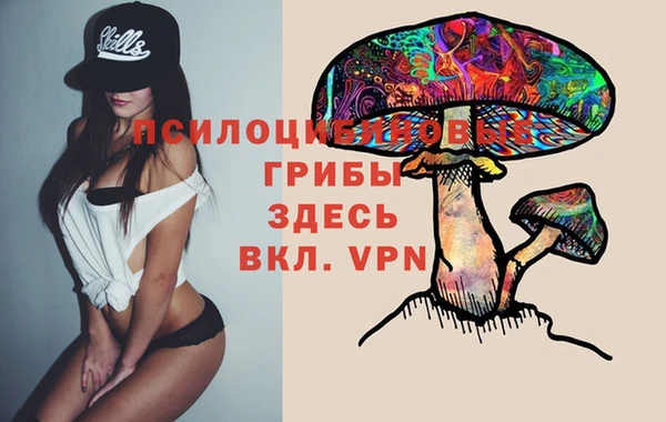 стафф Коряжма