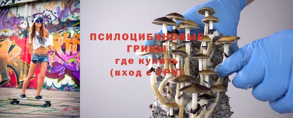 амф Краснослободск