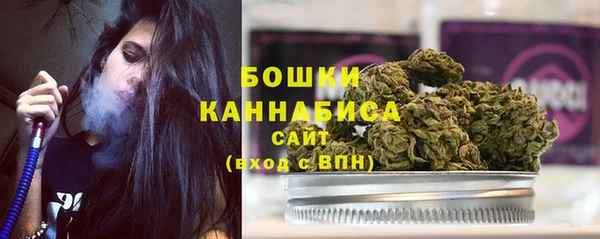 стафф Коряжма